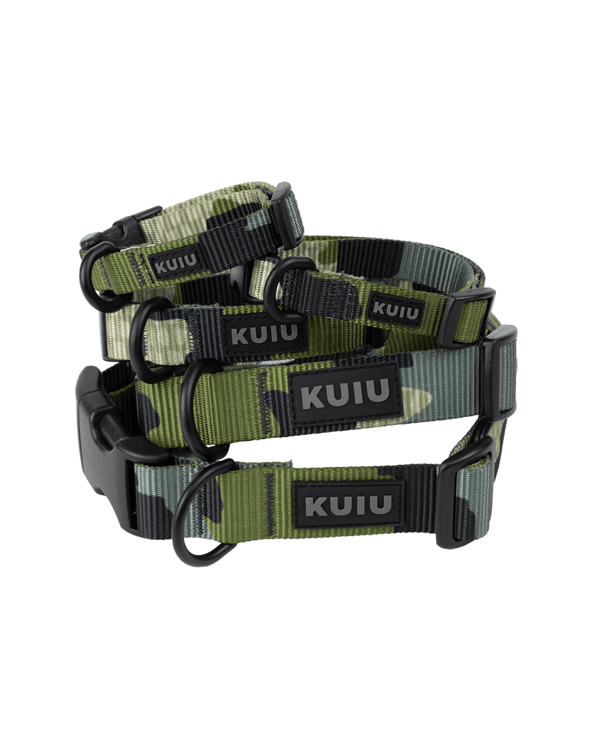 Camo Webbing Dog Collar | Verde